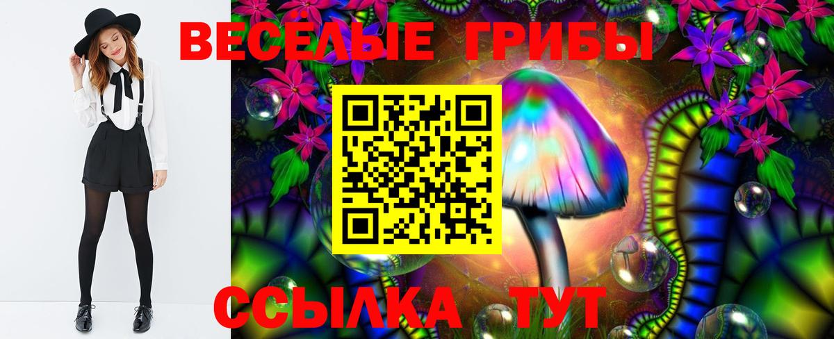 наркошоп  Галлюциногенные грибы Psilocybine cubensis  Красноуфимск  Вход с VPN  Псилоцибиновые грибы прущие грибы 
